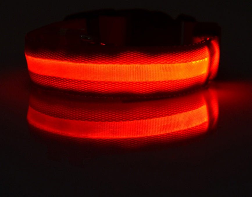 Nylon LED Pet Dog Luminous Collar Night Safety Flashing Glow in Dark Dog Cat Leash Adjustable Pet Supplies - ok best bark bargains